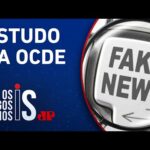 Brasil é último em pesquisa sobre capacidade de identificação de fake news