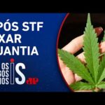 Presos com menos de 40g de maconha poderão ser soltos