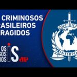 Brasil é o 9º país com mais procurados pela Interpol